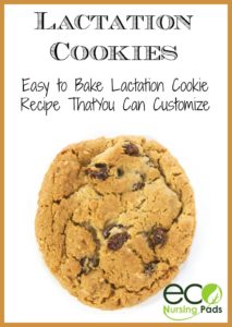 lactation-cookies-an-easy-to-bake